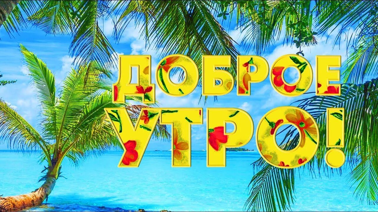 Добрый утро хорошего дня моря. С добрым утром море пальмы. доброе утро море. открытки доброе утро море. доброе утро пальмы.