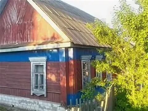 Авито в выгоничах. Авито выгоничи брянская область. Деревня городец брянск. П. Выгоничи ул совхозная.