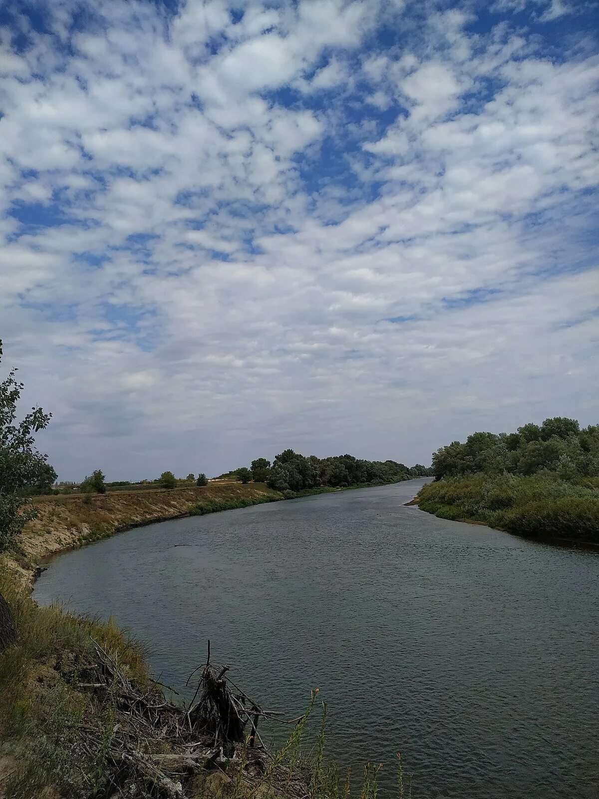 Притоки медведица. Река Медведица приток Дона. Исток реки Медведица Волгоградская область. Река Медведица Саратовская область. Река Медведица Волгоградская область.