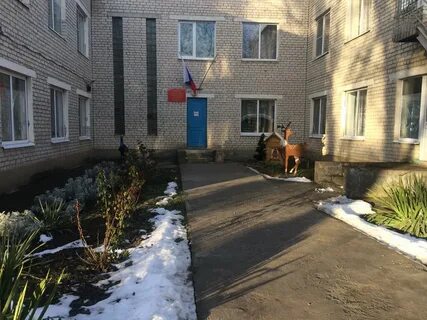 Мдоу дс