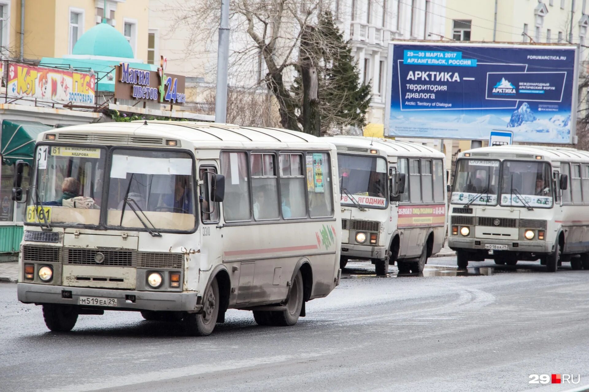 Архангельск город ПАЗИКОВ. Общественный транспорт Архангельска. Автобусы Архангельск. ПАЗИКИ В Архангельске.