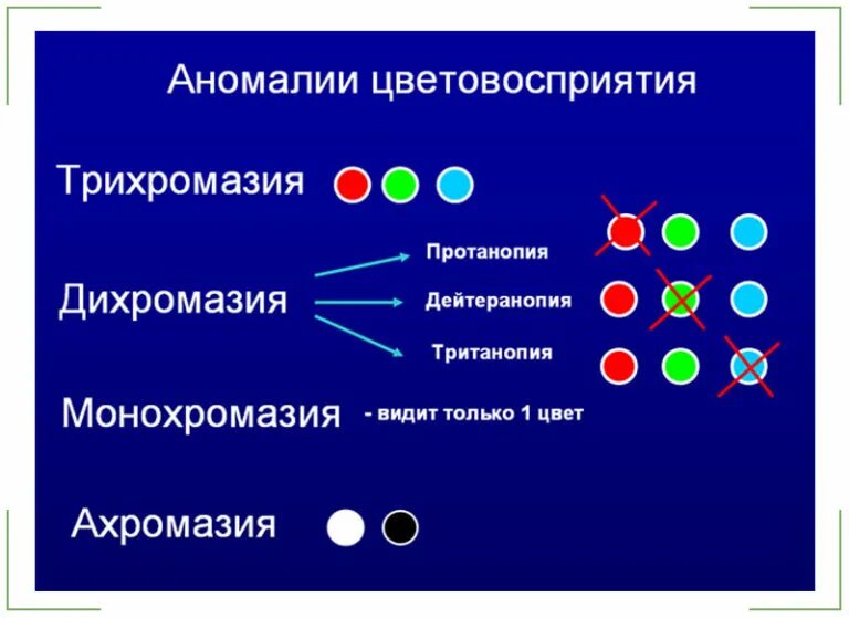 Ген вызывающий развитие дальтонизма. Классификация расстройств цветового зрения. Цветовая слепота физиология. Нарушение восприятия цвета. Дихромазия.