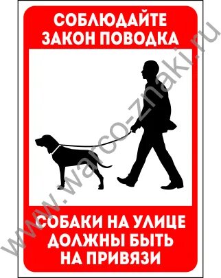 Держите собак на привязи. Собака без привязи. просьба держать собак на привязи. осторожно, собака для на привязи.