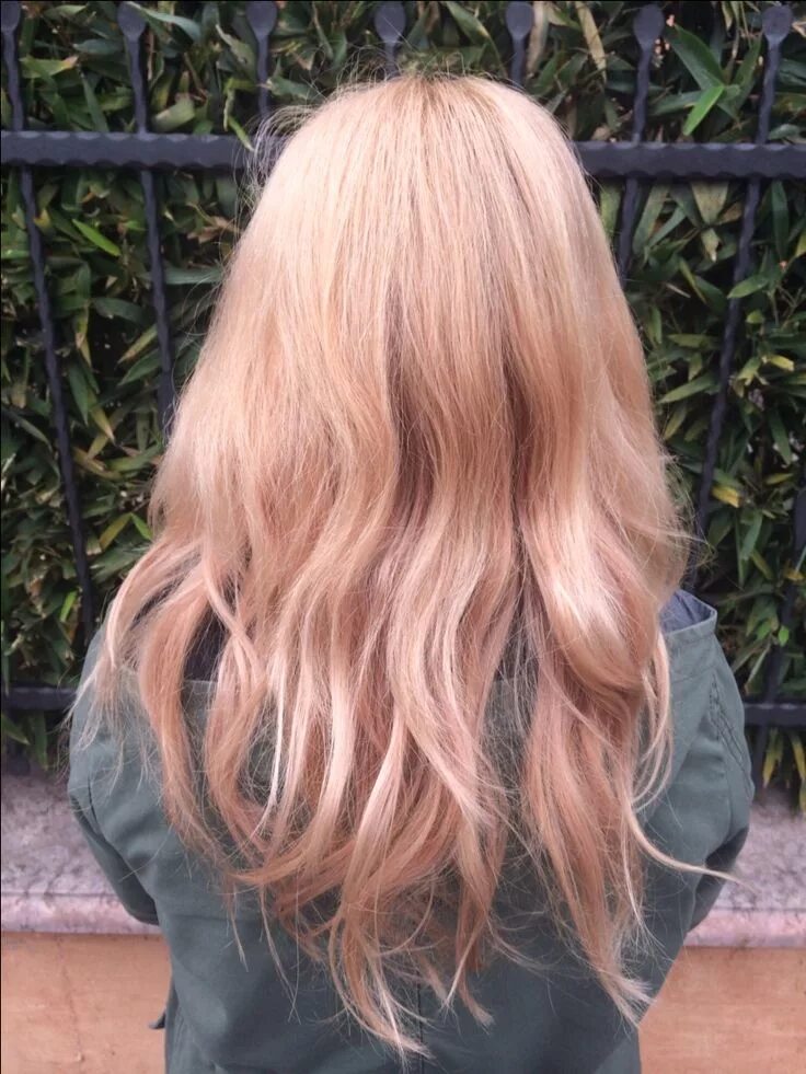 Rose blonde. Роуз блонд. Розовый блонд. Блонд с розовым оттенком. Клубничный блонд.