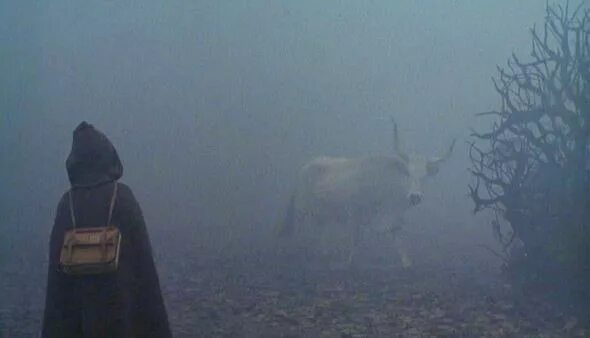 The man from the fog 1.2