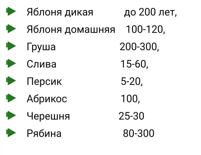 Название дерево и Продолжительность жизни таблица 1 класс окружающий. Продолжительность жизни деревьев окружающий мир таблица. Продолжительность жизни деревьев таблица 1 класс окружающий мир. Деревья и Продолжительность жизни таблица 1. Сколько лет продолжение