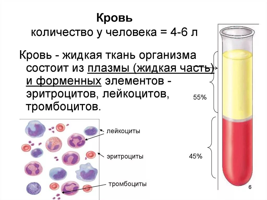 Составляющий элемент крови. Строение крови человека. Соотношение плазмы и форменных элементов крови. Плазма крови плазма лейкоциты эритроцитов. Кровь эритроциты тромбоциты и лейкоциты плазма крови.