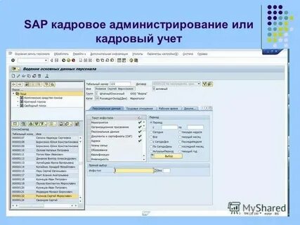 Сап программа для бухгалтерии