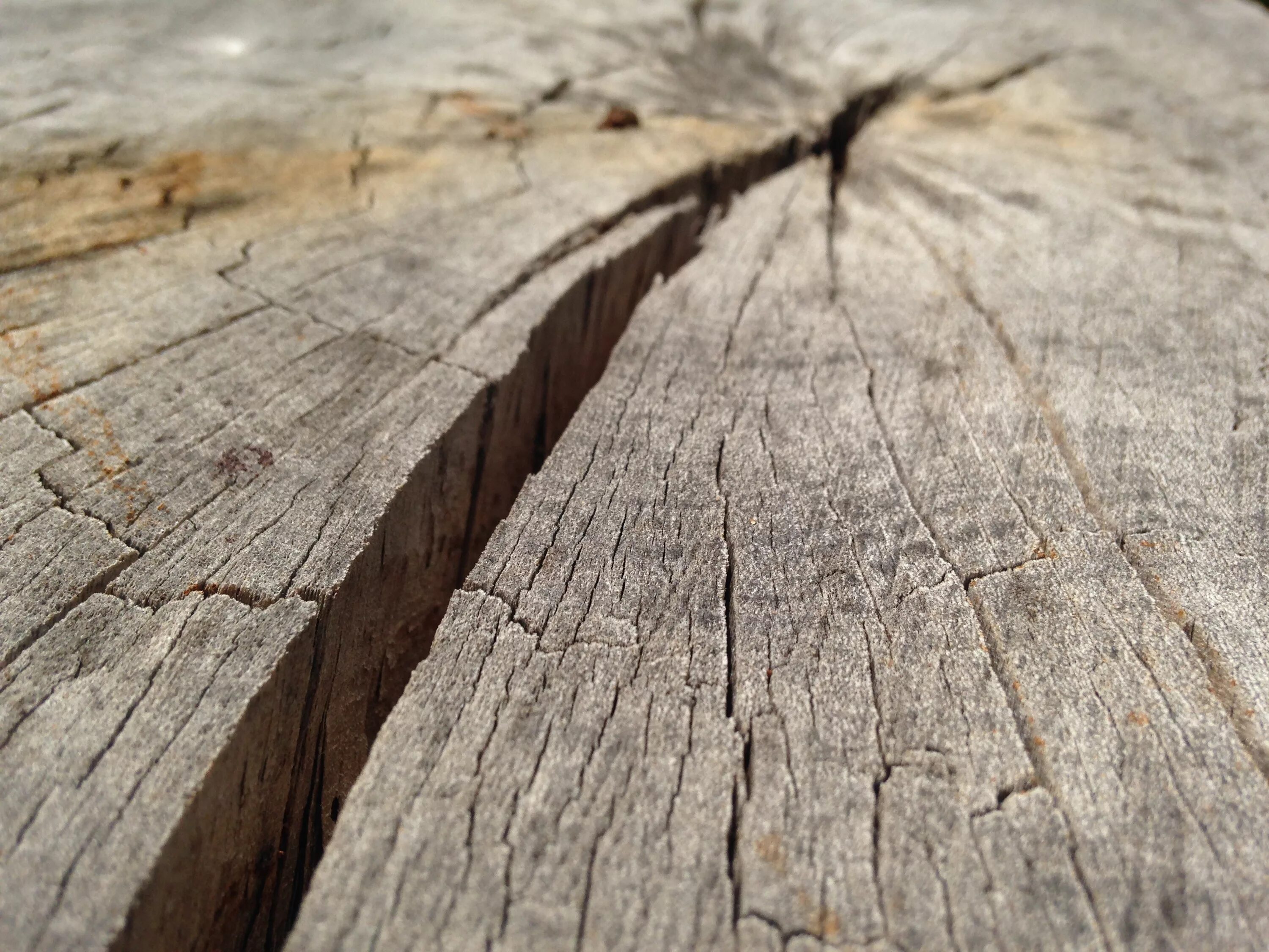 Трещина на дереве. Трещина в дереве. Старые доски текстура. Трещины древесины. Трещина в доске.