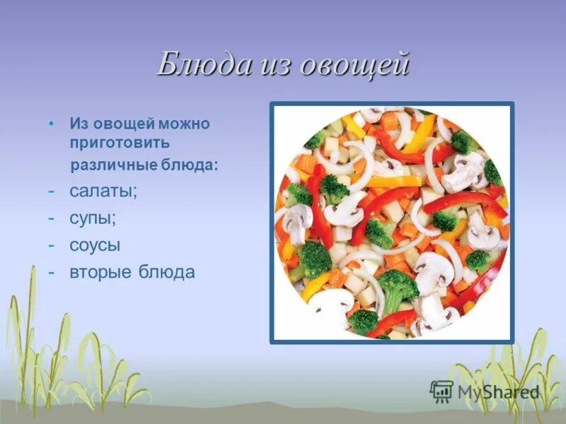 Проект значение овощей в питании человека Классификация пищевых продуктов презентация онлайн