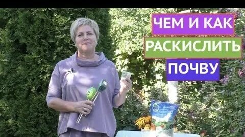 Дзен зарубина