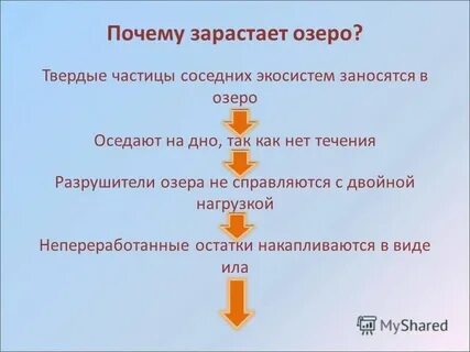 Слово заросли
