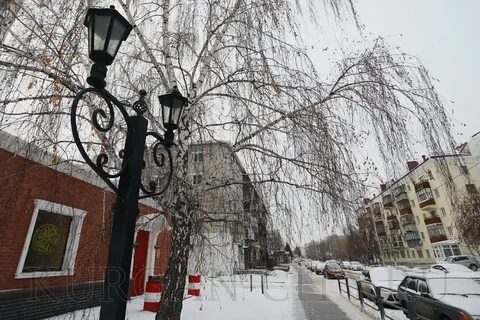 Винштейн 45