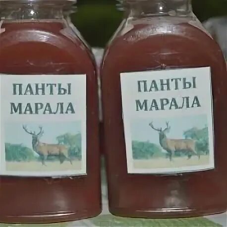 Экстракт пантов марала алтайский. Пантокрин, настойка 250 мл. Настойка из марала пантов марала. Панты марала настойка как принимать. Панты марала настойка.