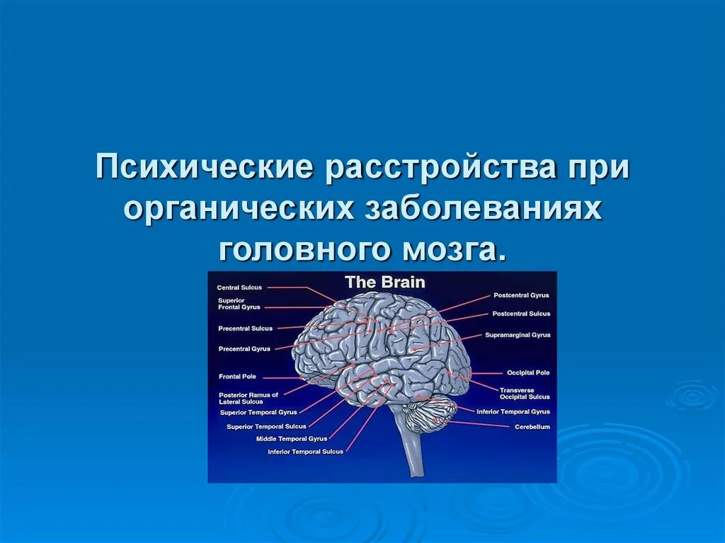 Органические изменения головного мозга. Для органического поражения головного мозга характерно. Заболевание головного мозга виды. Органические нарушения головного мозга. Мозг психических расстройств.