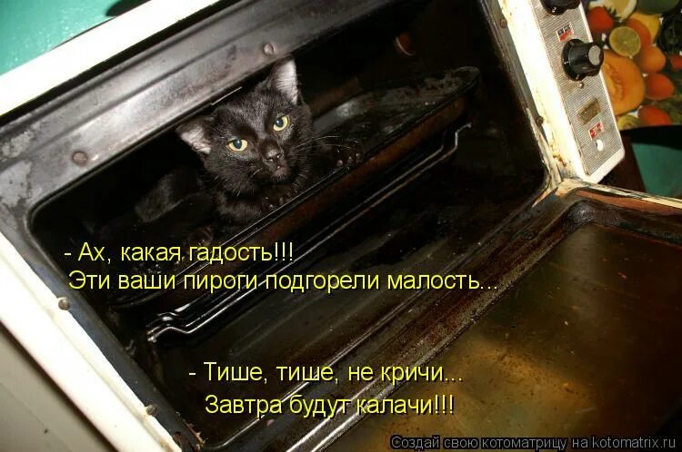 не делай гадости другим. прикольные надписи. какие пакости можно сделать. гифка какая гадость. кошка нашкодила.