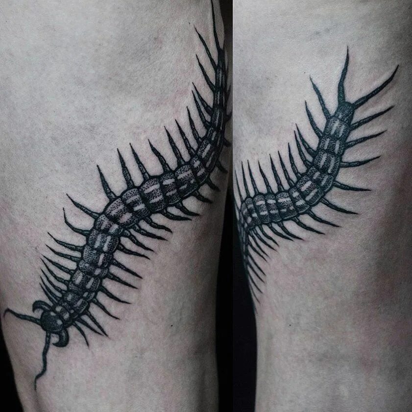 Сколопендра токийский гуль. Тату сороконожка. Татуировка токийский гуль сколопендра. Сколопендра токийский гуль. Сколопендра пейна.