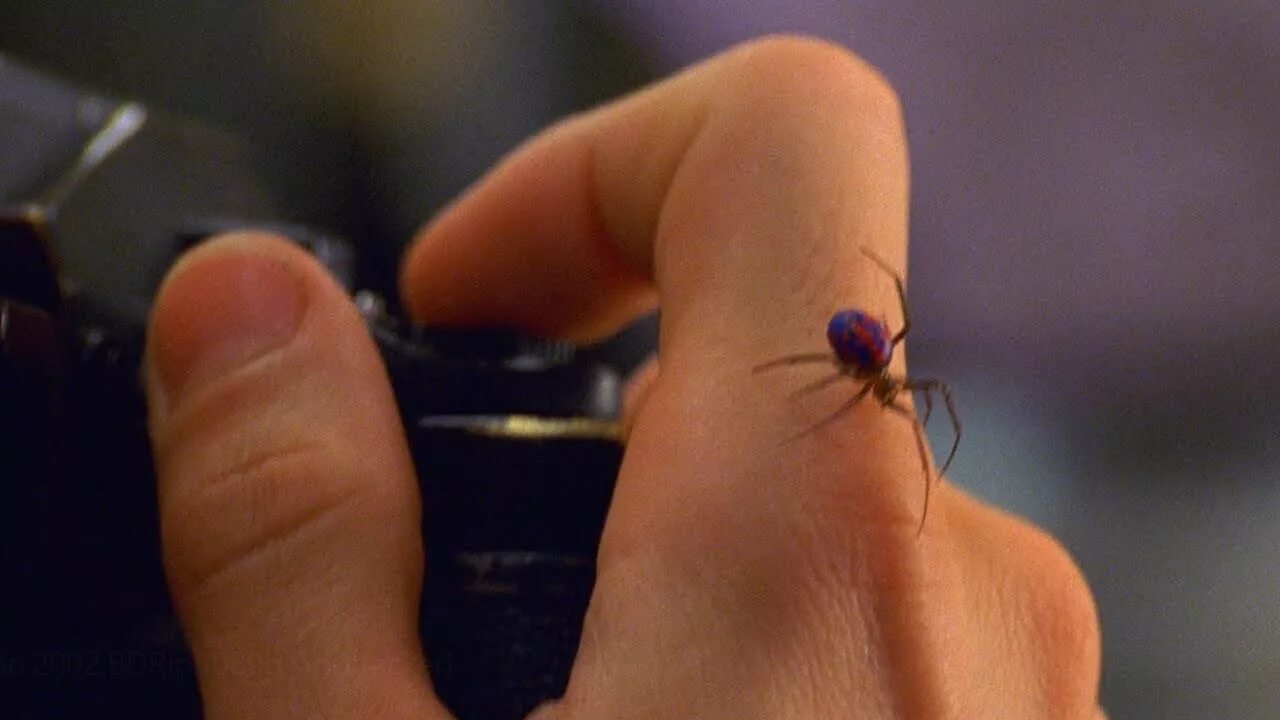 Кусать рисунок. Гигантский азиатский шершень жало. Комар картинка для детей. Жалить 2. Мультяшных укусов.