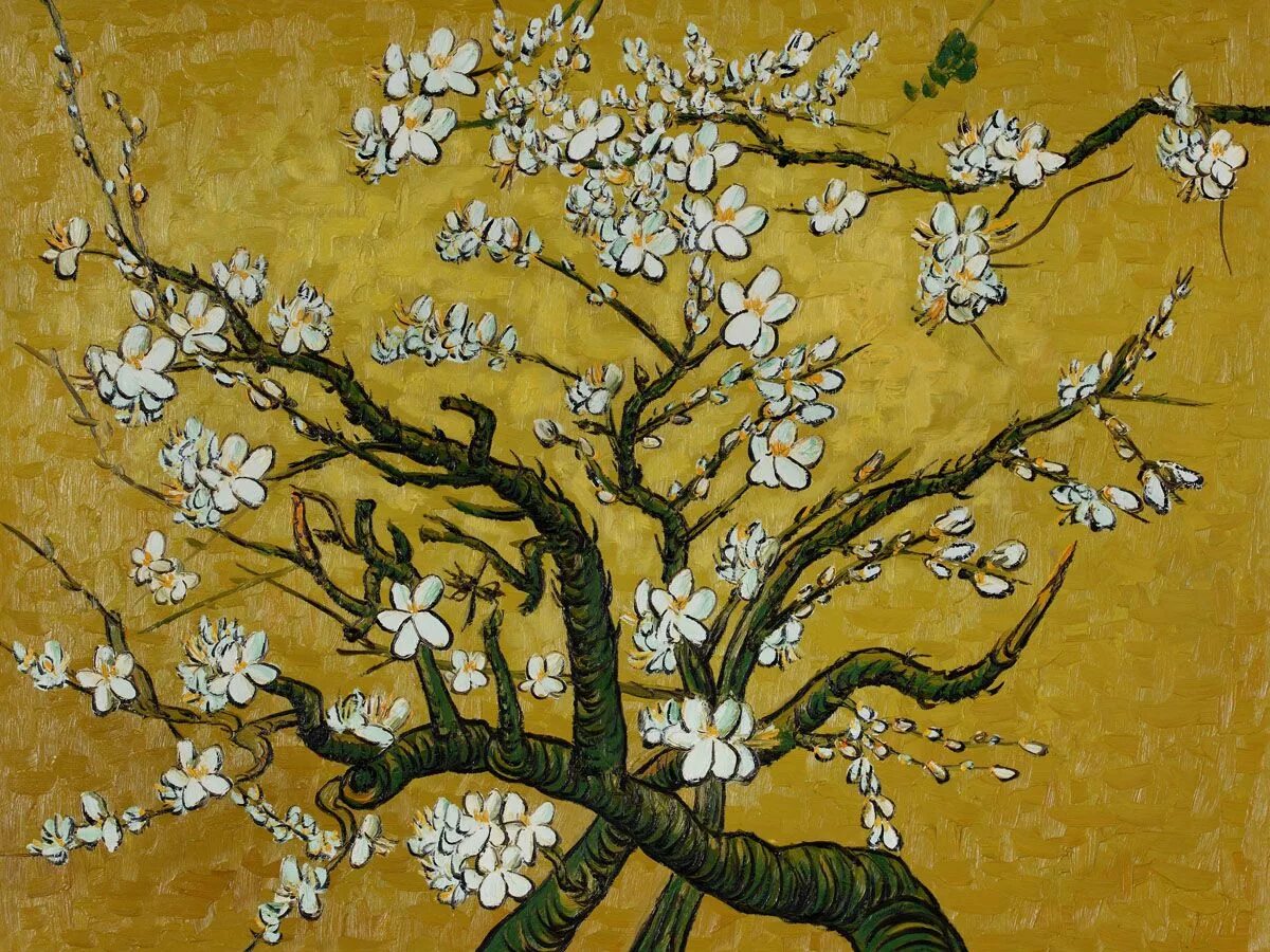 Almond blossom. Ван Гог миндальное дерево. Ван Гог ветка цветущего миндаля. Винсент вангог «Цветущий миндаль». Винсент Ван Гог цветущие ветки миндаля 1890.