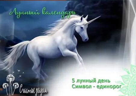 5 лунные сутки
