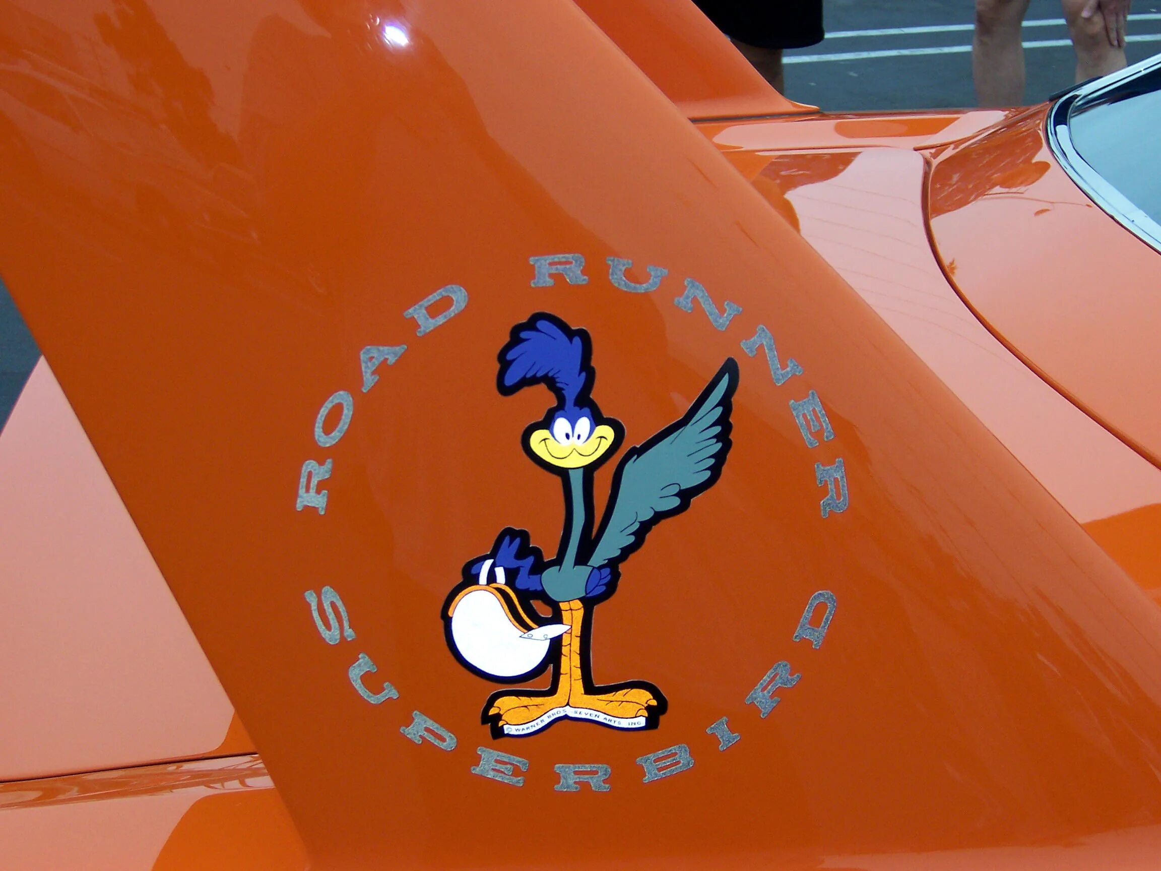Машина bird. Roadrunner Superbird наклейка. Plymouth Roadrunner дорожный бегун. Roadrunner Plymouth наклейка. Plymouth Roadrunner с птичкой.