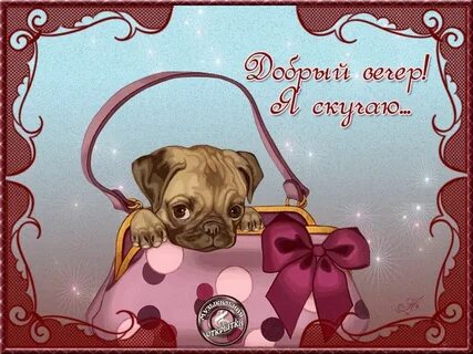 Подруга веселая добрая