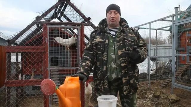 Дед чтп советы по строительству курятника. Дед чтп куры. Дед чтп курятник. Дед чтп куры. Дед курятник.