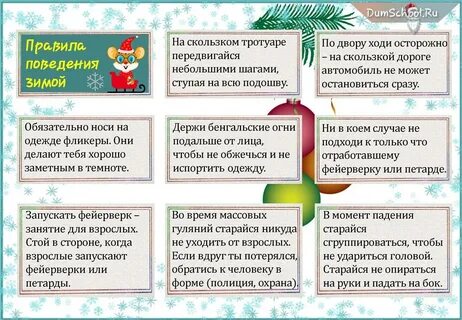 Правила поведения во время прогулки