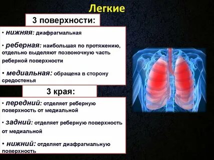 Выберите поверхности легкого