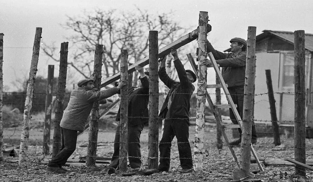 Татары в годы войны. Крымские татары в годы войны 1941-1945. "Зверства крымских татар". Зверства крымских татар в ВОВ. Крымские татары фашисты.