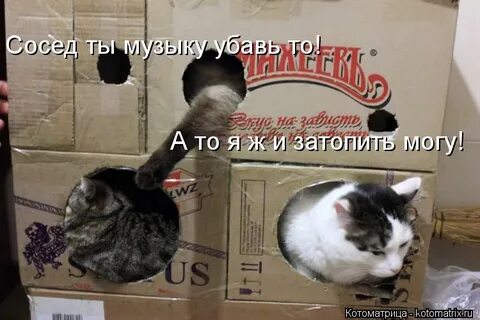 Ты сосед