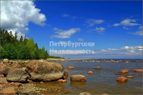 Приморское поселение ленинградская область