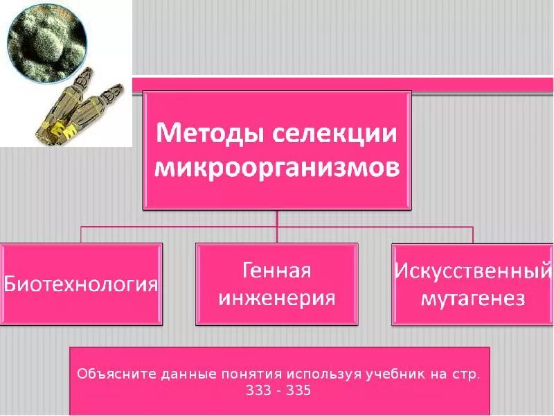 Метод применяемый в селекции. Методы селекции микроорганизмов. методы селекциции микроорганизмов. методы селекции микроо. метод селекции микроорганизмов.