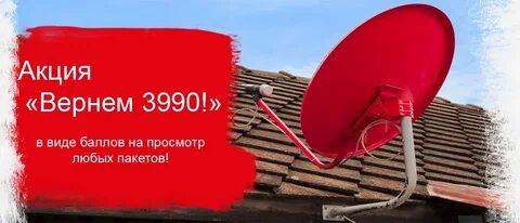 6 месяцев мтс