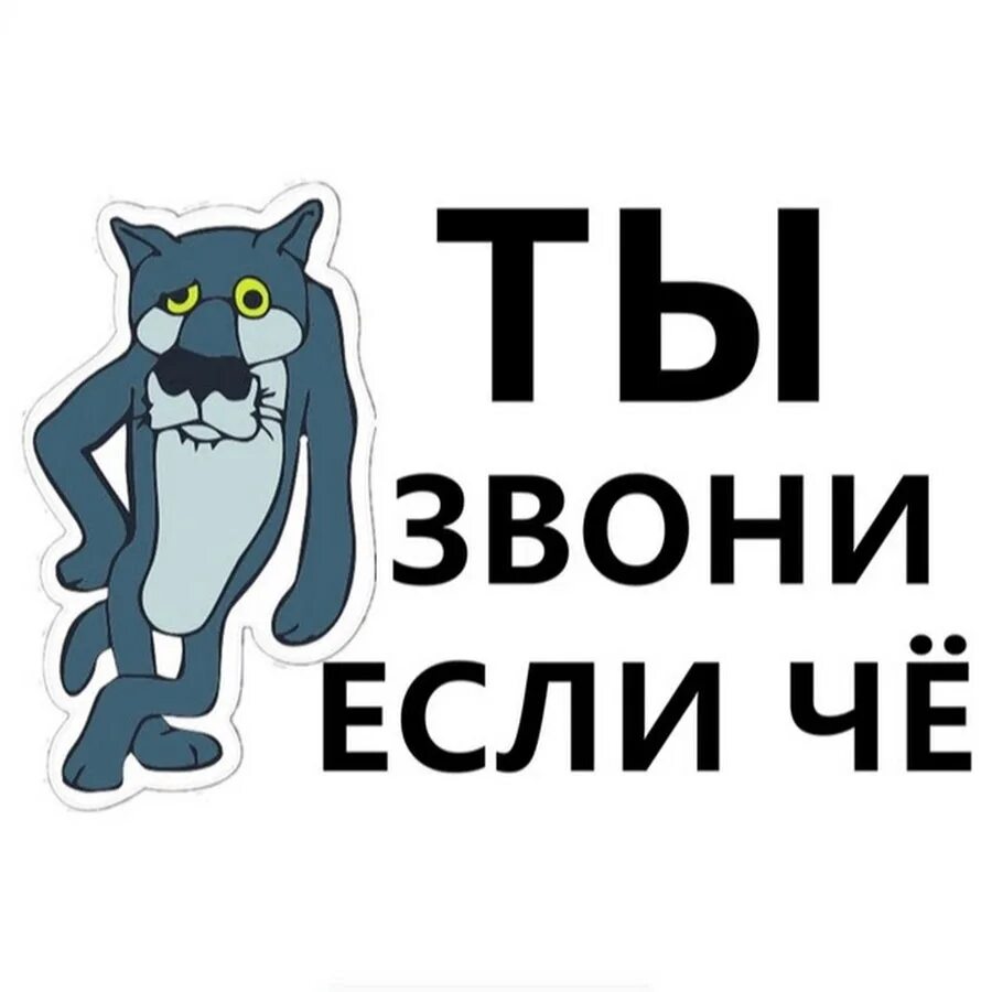 Ну позвони. Ну позвонить. Ну позвонить. Кот ждет звонка. Ну позвонить.