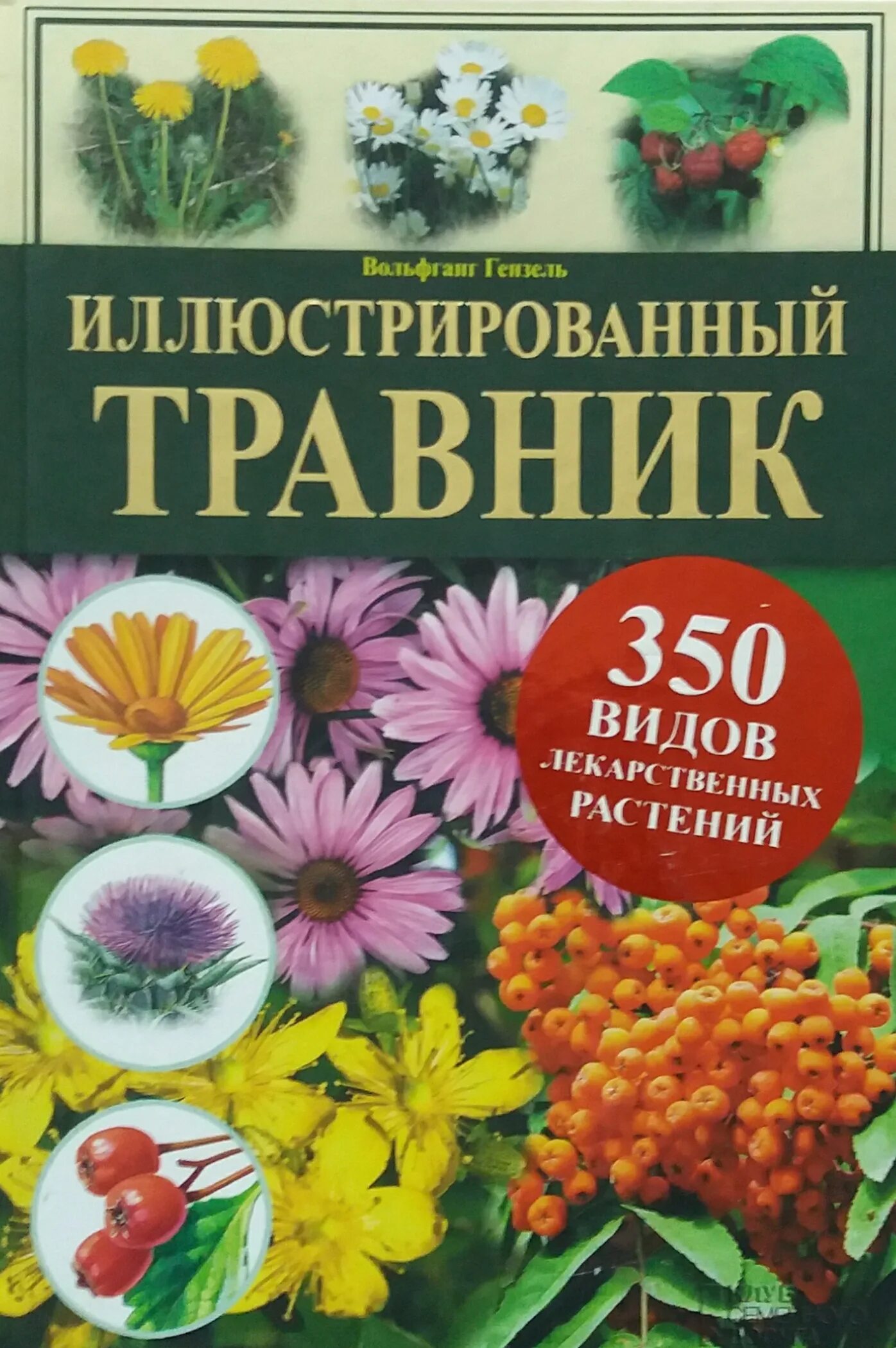 Что такое травник. Иллюстрированный травник 350 видов лекарственных растений. книга на траве. травник книга. книга лекарственные травы.