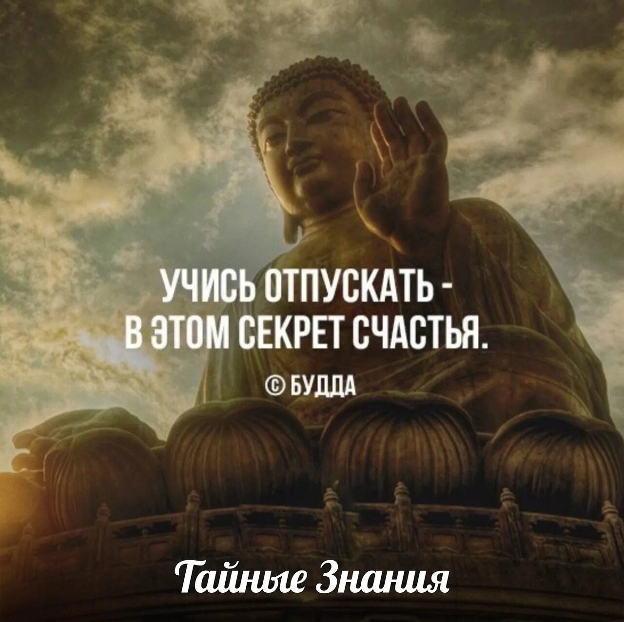 Пусть живет своей жизнью. Изречения Будды. Высказывания Будды. Учись отпускать в этом секрет счастья. Учись отпускать в этом секрет счастья Будда.