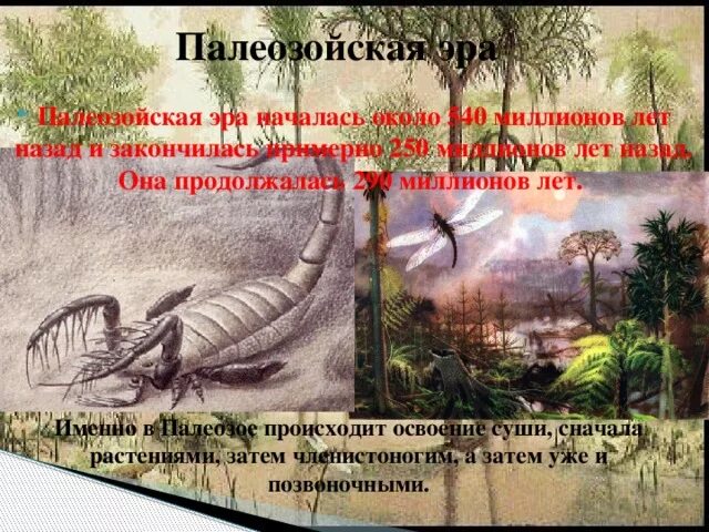 250 млн лет назад какой период. Палеозойская Эра началась примерно. 250 Миллионов лет назад. Начало палеозойской эры. 2 Миллиона лет назад эпоха.