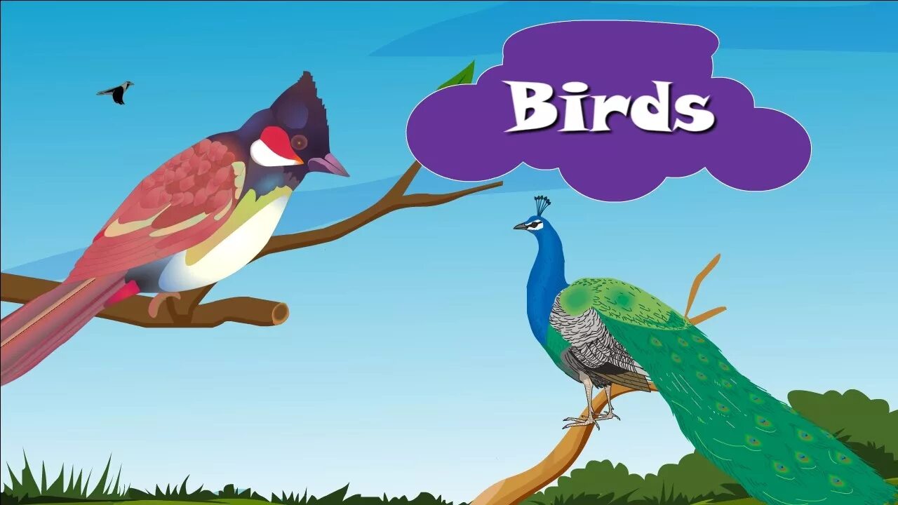 Птицы на английском. Bird птичка с надписью. Bird picture for Kids с надписью. Bird карточка на английском.