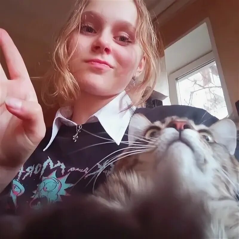 Настя скрип