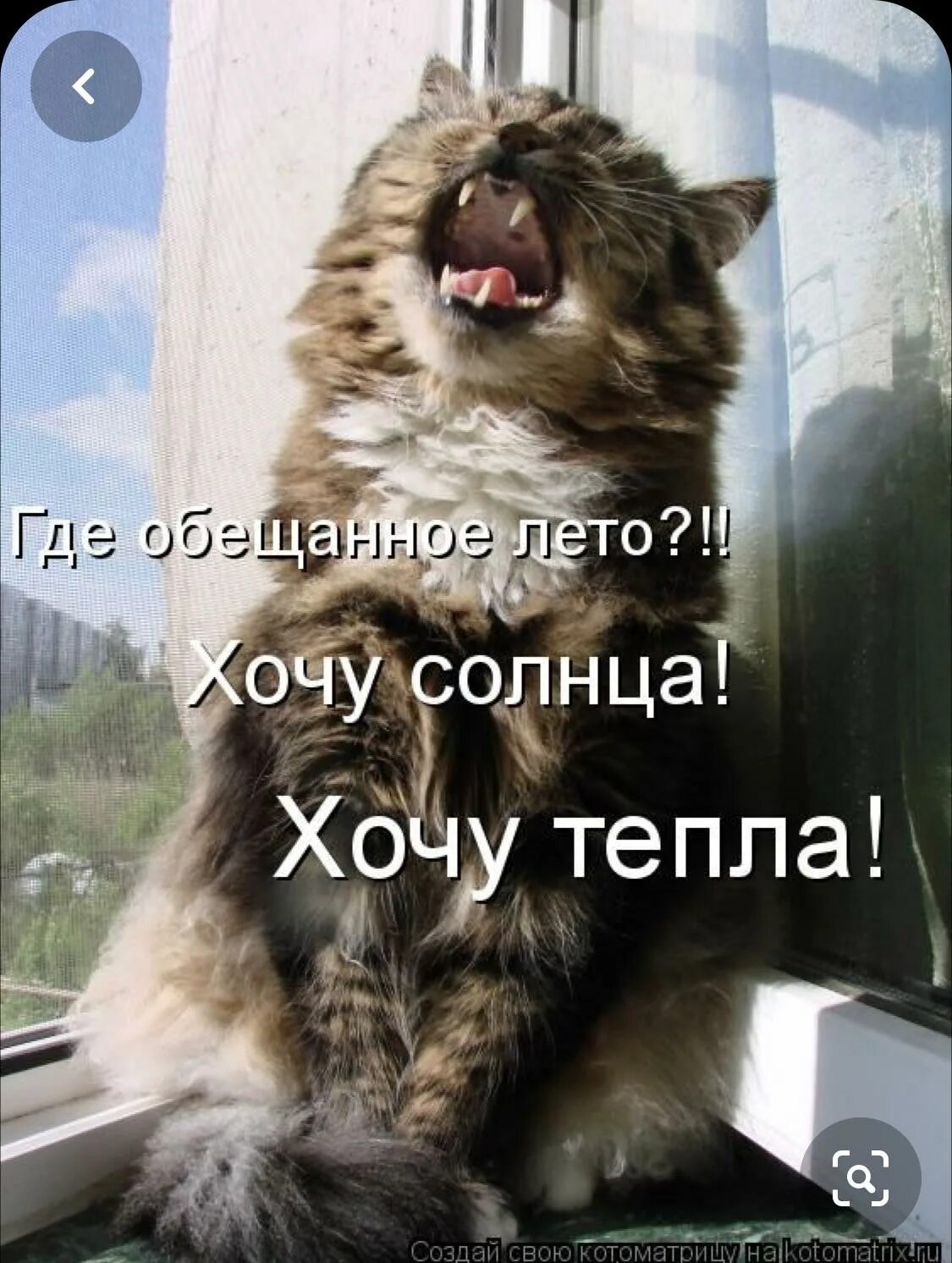 Не знаю утром