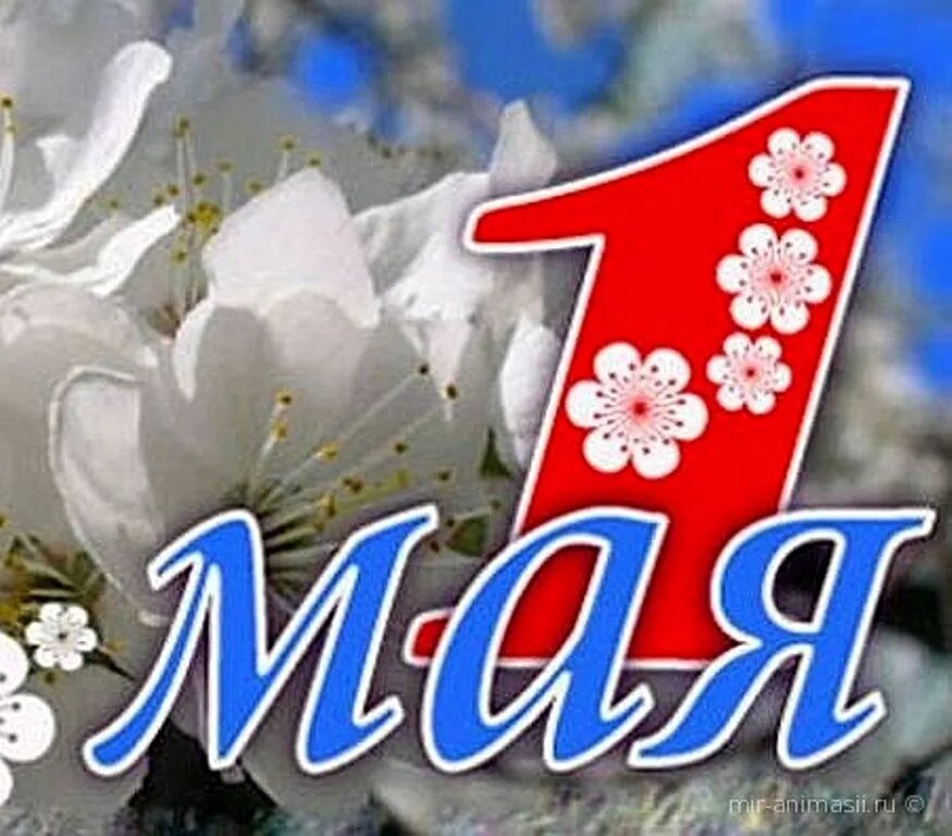 Поздравление с 1 мая. 1 Мая праздник. Открытки с 1 мая. День весны и труда.