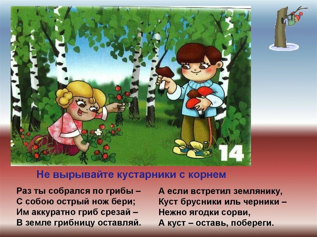 Поведение в лесу для дошкольников. Правила поведения в лесу. Правила поведения на природе. ПРАВИЛАПОВЕДЕНИЕ В лесу.