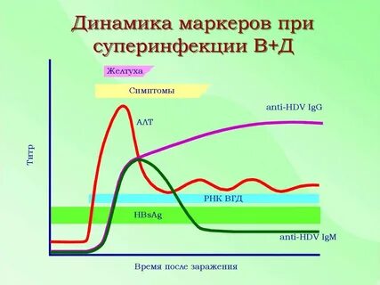 Время после заражения