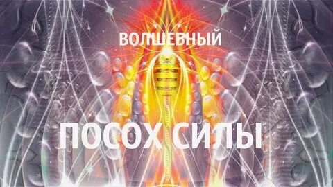 Академия света