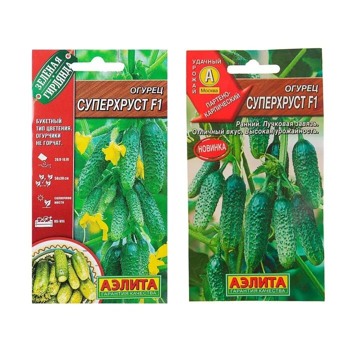 Огурцы хабар описание сорта. Семена огурцов в москве. Огурцы анулька. Семена огурцов в москве. Огурец хруст f1.
