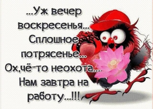 Уже вечер а не утро. Спокойной ночи воскресенье. вечер воскресенья. вечер воскресенье а завтра на работу. шутки про вечер воскресенья.