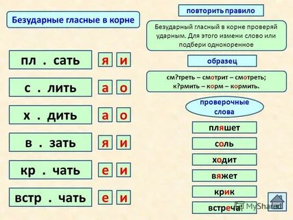 Какие есть слова в слове замер