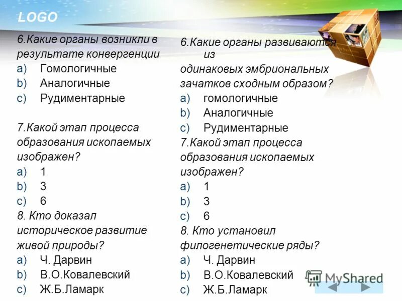 Органы возникающие в результате конвергенции. Какие органы возникают в результате конвергенции.