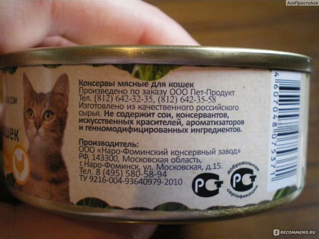 Корм кота содержание. Консервы органикс для кошек производитель. кошачий корм влажный. качественный влажный корм для кошек. органикс корм для кошек влажный.